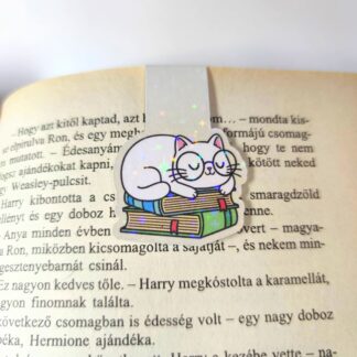 Olvasó cimbora mágneses könyvjelző